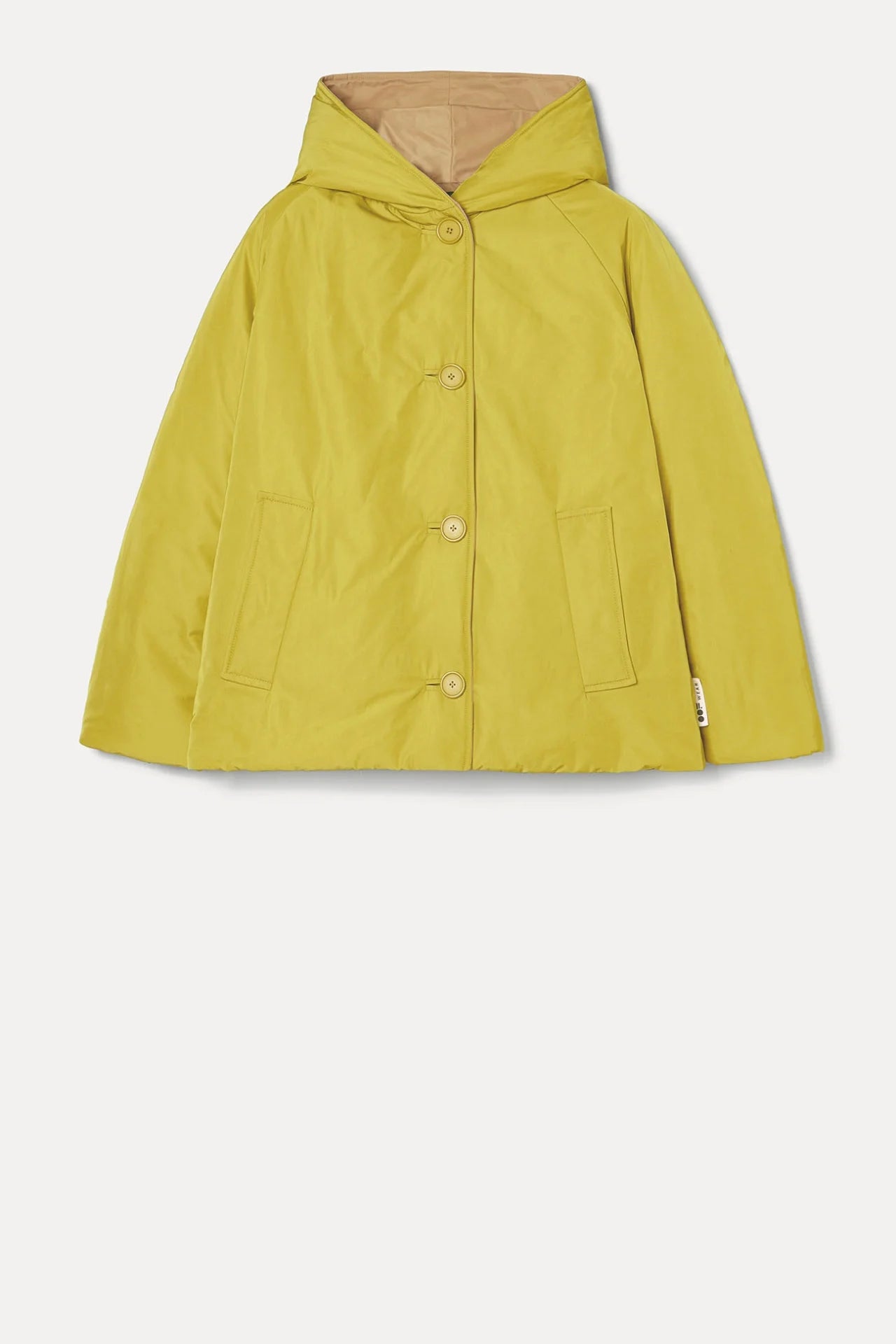 lime beige